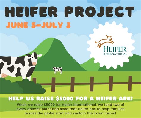 Project heifer - A young member may begin with a Heifer or Fed Steer project. Older members are encouraged to take the Market Steer project. An experienced member may wish to raise one or more cows with calves or raise a number of steers to market weight. The member learns grooming and training and usually shows the animal at the end of …